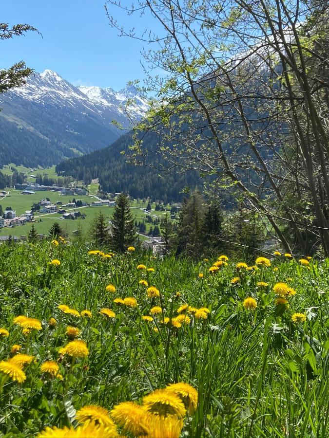 Ferienwohnung Sunneschii Davos Bagian luar foto